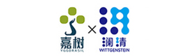 石家庄澜清嘉树留学