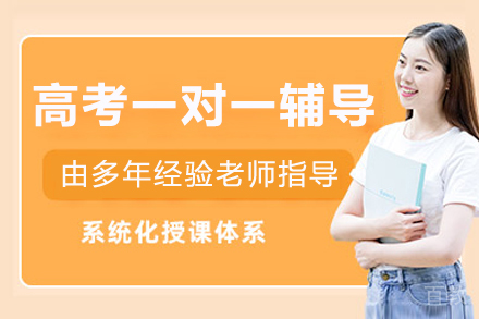 上海高考一对一辅导班