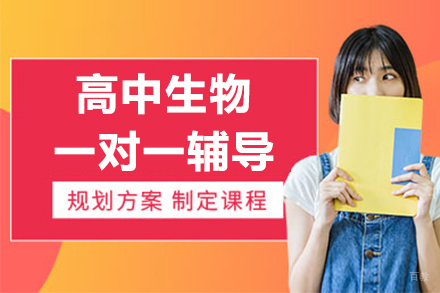 高中生物1对1辅导班