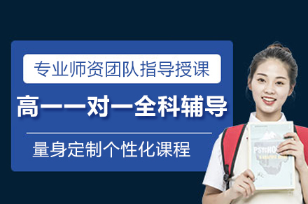 上海高一一对一全科辅导课程