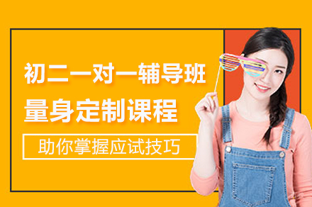 上海初二一对一辅导班