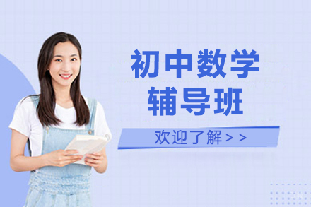 北京初中数学辅导班