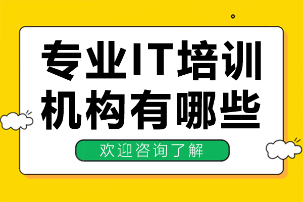 上海专业it培训机构有哪些