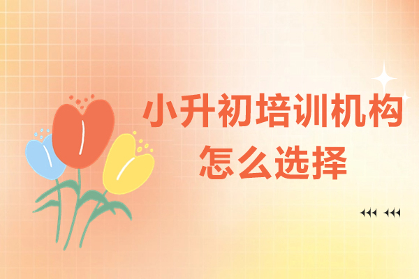 深圳小升初培训机构怎么选择-小升初培训机构如何选择