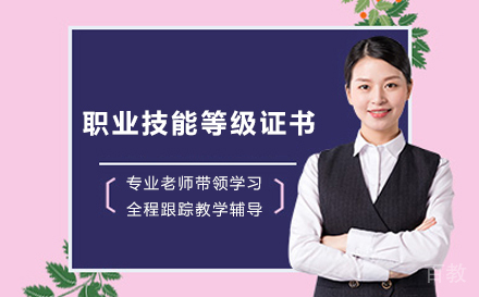 职业技能等级证书
