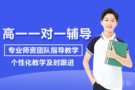北京高一一对一辅导班