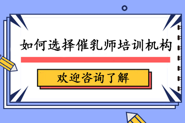 如何選擇催乳師培訓(xùn)機(jī)構(gòu)-學(xué)催乳該怎么選培訓(xùn)機(jī)構(gòu)
