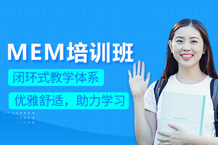 北京MEM培训班