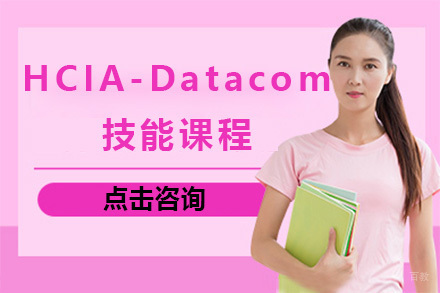 上海华为HCIA-Datacom技能课程