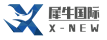 石家庄犀牛国际教育