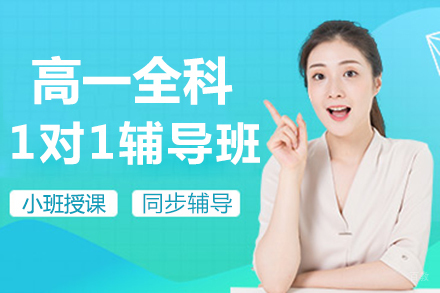 北京高一一对一辅导