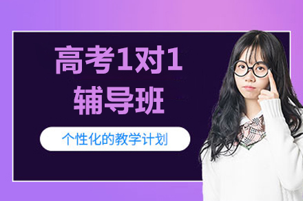 北京高考一对一辅导班