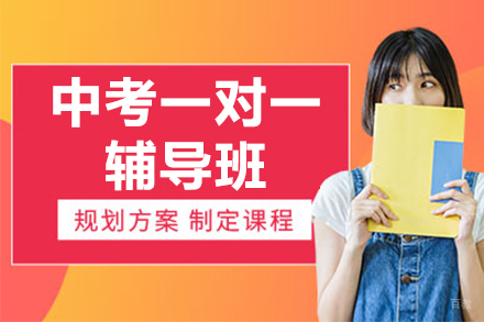 北京中考一对一辅导班