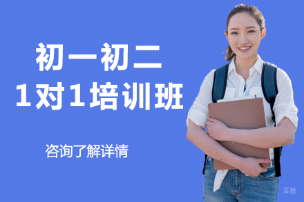 北京初一初二1对1培训班