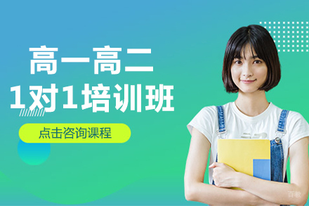 北京高一高二1对1培训班