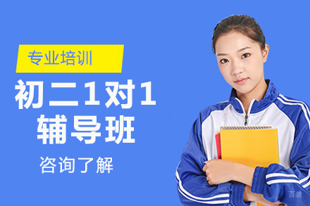 北京初二一对一辅导班