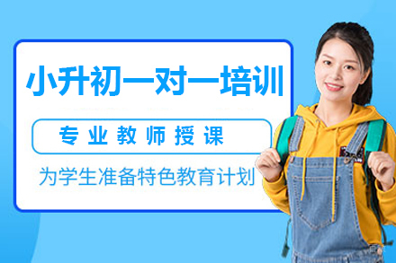 深圳小升初一对一培训班