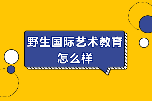 南京野生国际艺术教育怎么样-好不好