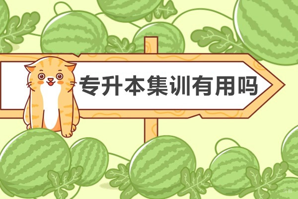 成都专升本集训有用吗