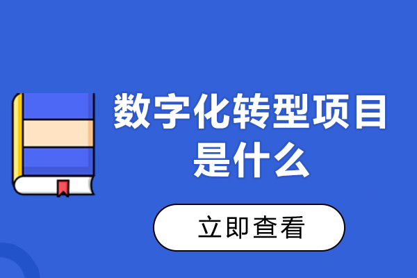 福州数字化转型项目是什么-特点有哪些