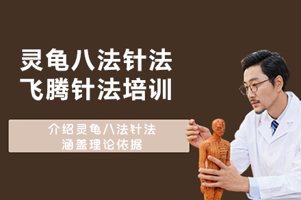 西安灵龟八法针法,飞腾针法培训
