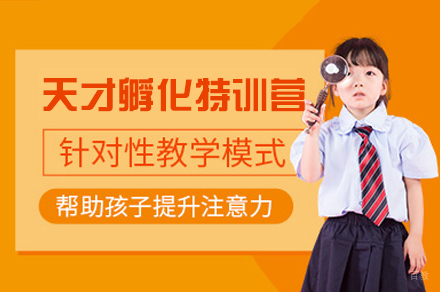 厦门天才孵化特训营