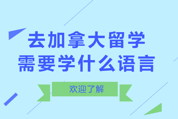 去加拿大留学需要学什么语言-去加拿大留学需要什么语言条件