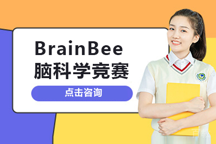 昆明BrainBee脑科学竞赛培训班