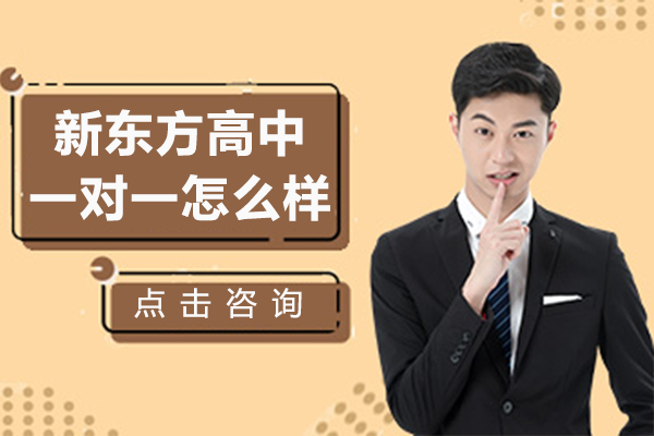 广州新东方高中一对一怎么样