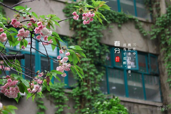 学校风景环境