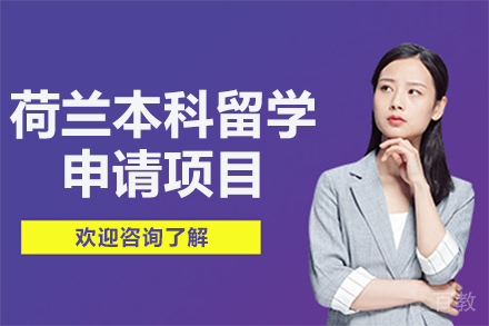 荷兰本科留学申请项目