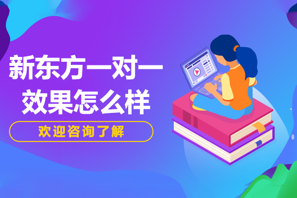 广州新东方一对一效果怎么样