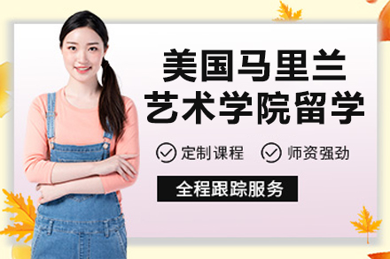 南京马里兰艺术学院留学