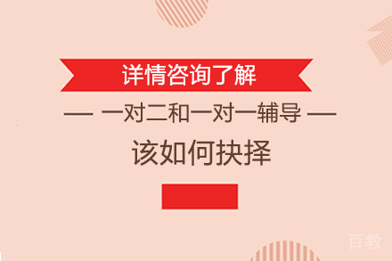 一对二和一对一辅导该如何抉择