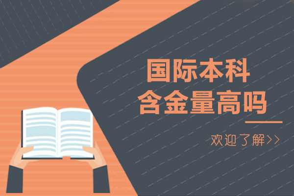 沈陽學(xué)歷教育/國際本科-國際本科含金量高嗎