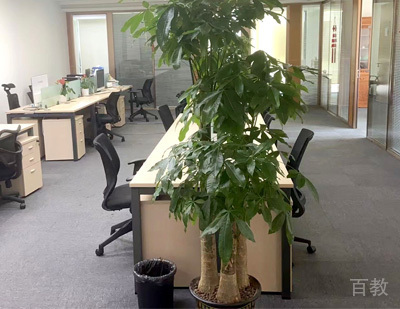 武汉比屋教育校区环境展示