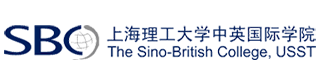 上海理工大学中英国际学院国际本科