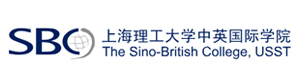 上海理工大学中英国际学院
