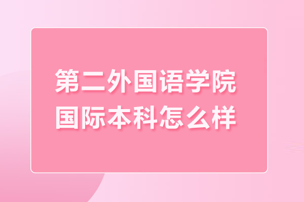 北京第二外國語學院國際本科怎么樣