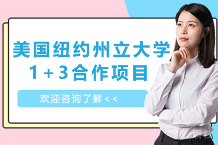 美国纽约州立大学1+3合作项目-华东政法大学