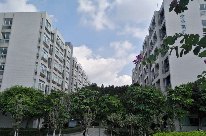 学校环境