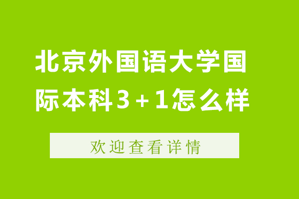 北京外國語大學(xué)國際本科3+1怎么樣