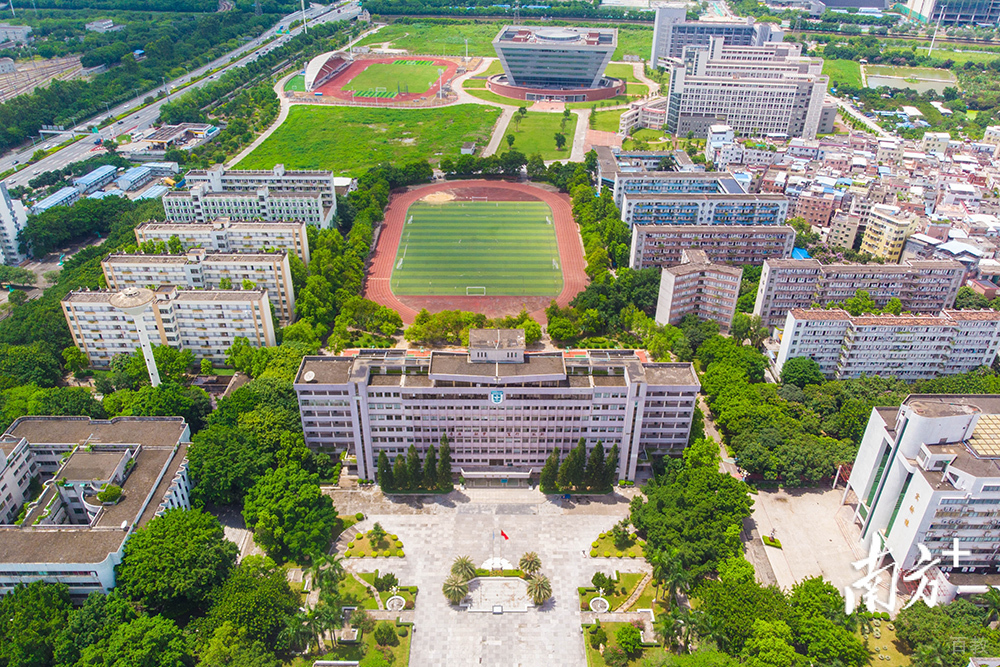 学校全貌俯视环境