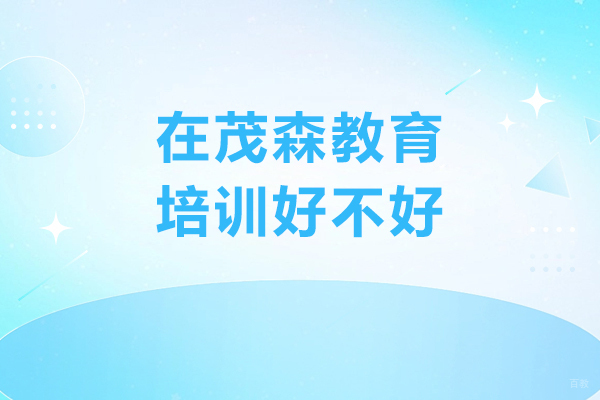 在茂森教育培训好不好