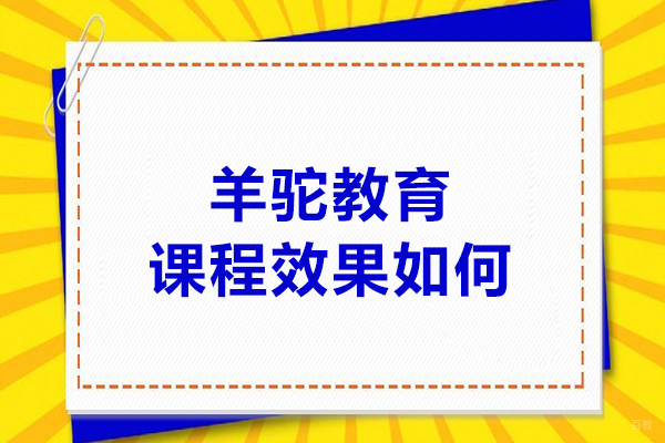 哈尔滨羊驼教育课程效果如何-羊驼教育教得好吗