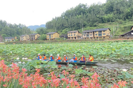 泛舟荷花湖