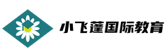 武汉小飞蓬国际教育