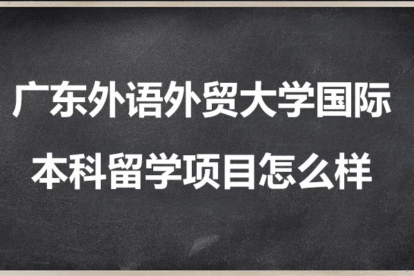 廣東外語(yǔ)外貿(mào)大學(xué)國(guó)際本科留學(xué)項(xiàng)目怎么樣