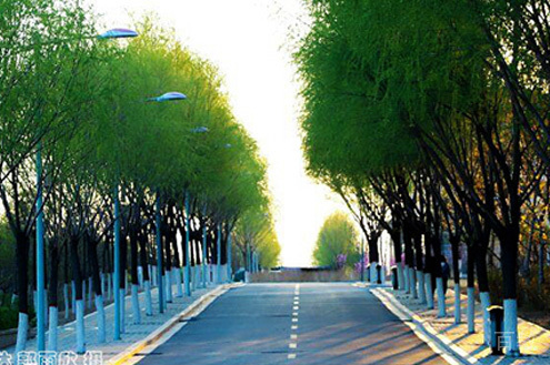 学校马路