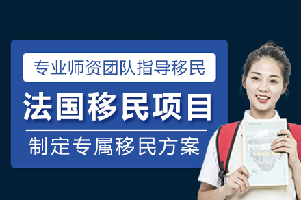 法国移民项目